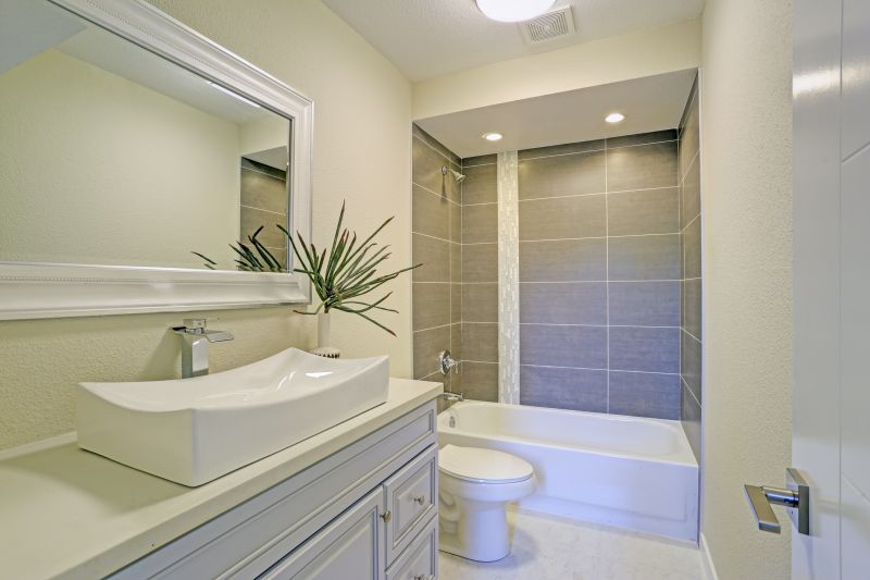 Top Tub To Shower Conversion Companies in Denver, CO
